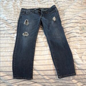 Refuge Blue Straight Leg Casual Jeans